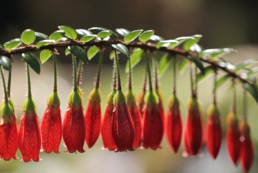 广州海珠区8私人快速借钱网，轻松解决资金难题