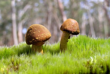 广州海珠区8私人老板放款：轻松融资的秘密通道